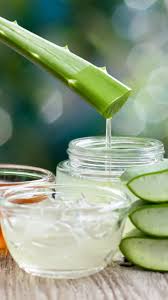 Garment And Fabric Stock Lot